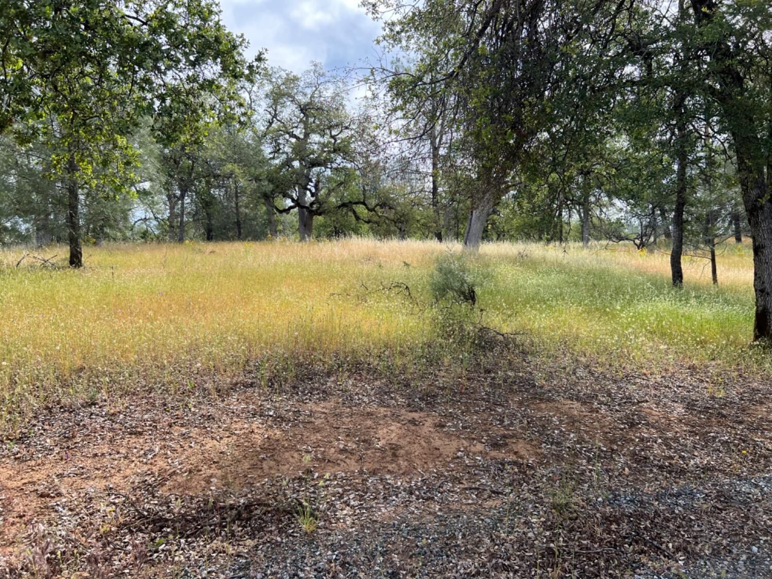 Property Photo:  8439 Oak Ridge Road  CA 95246 