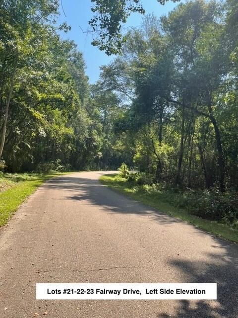 Property Photo:  Lot #21 Fairway Drive  LA 70420 