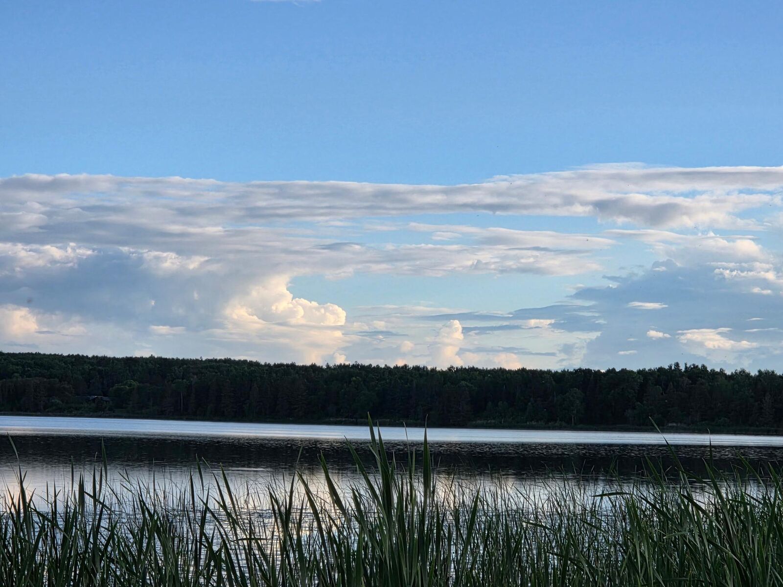 Property Photo:  Tbd Lot 3 190th Street  MN 56621 