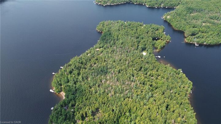 Property Photo:  Blade Gold Lake Island  ON K0L 1J0 
