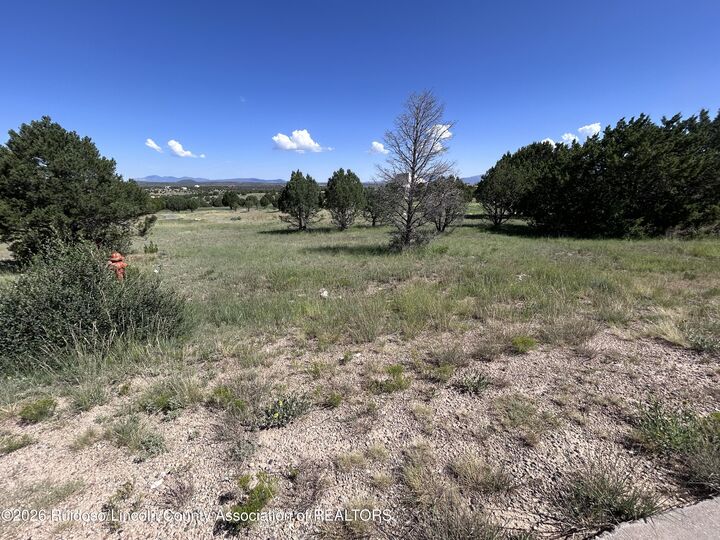 Property Photo:  L7b10 Spencer Road  NM 88312 