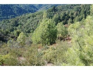 Property Photo: 0 Croy Road CA 95037