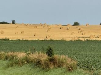 Property Photo:  0 Lerch Road  WI 53911 