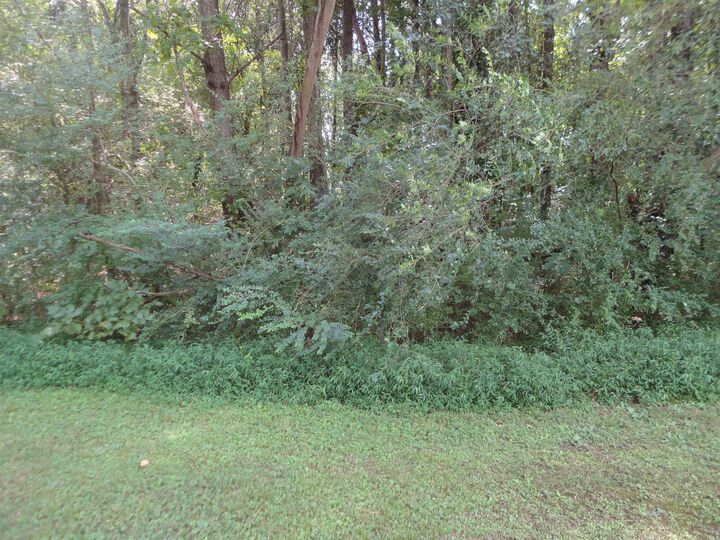 Property Photo: 0 College Dr AL 35077