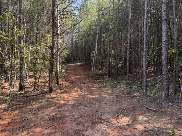 Property Photo:  00 Dixon Road Tract 3  SC 29693 