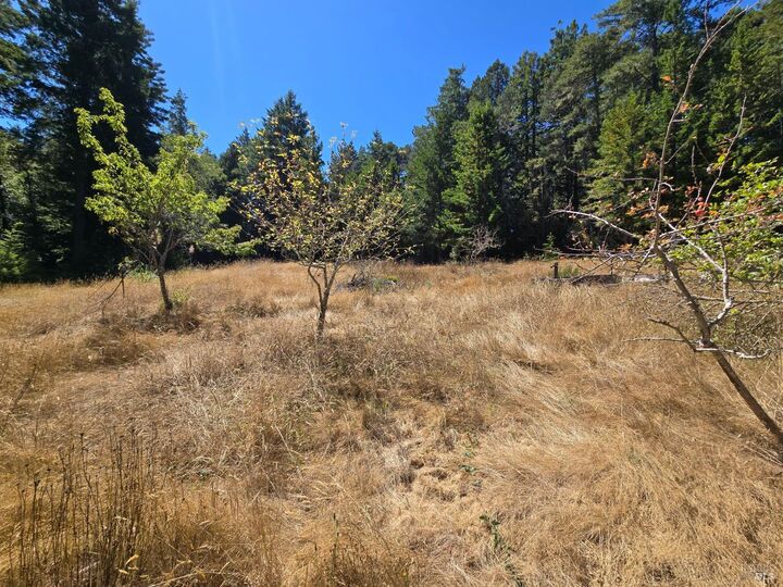 Property Photo:  40741 Garcia River Road  CA 95468 