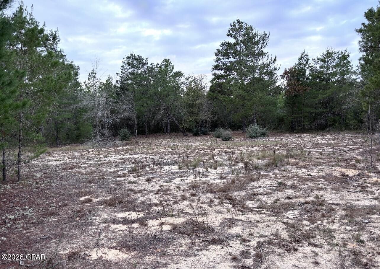 Property Photo:  0 Fairhaven Lot 9 Drive  FL 32428 