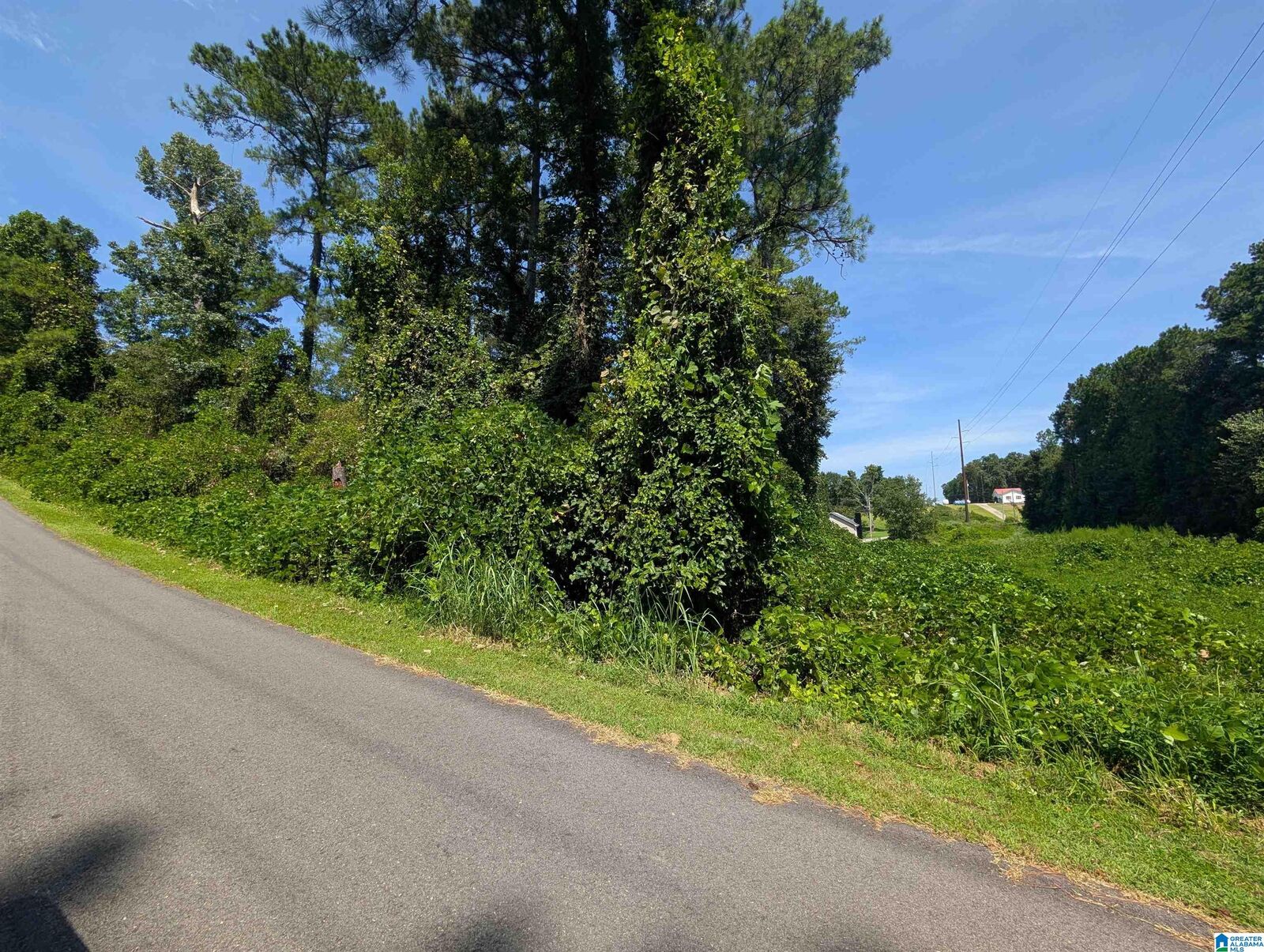Property Photo:  0 Hilltop Road 0  AL 36277 