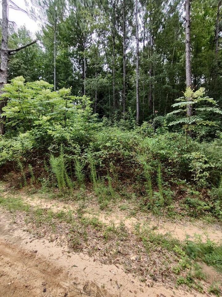 Property Photo:  0 Lakeshore Dr.  MS 39455 