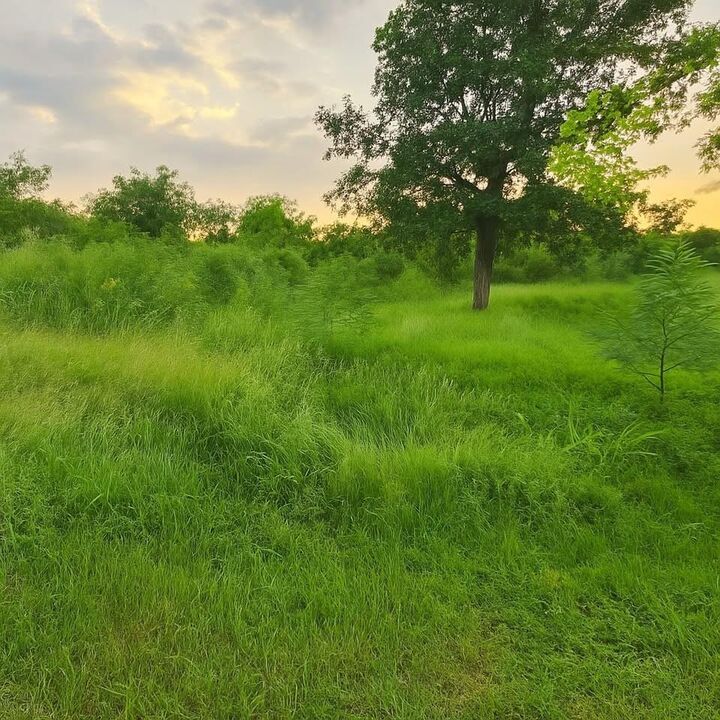 Property Photo: 4268 Sealy Road TX 77474