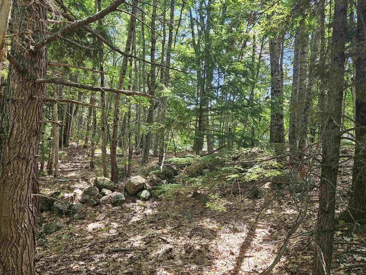 Property Photo: Map 257-Lot 32 Route 11 NH 03855