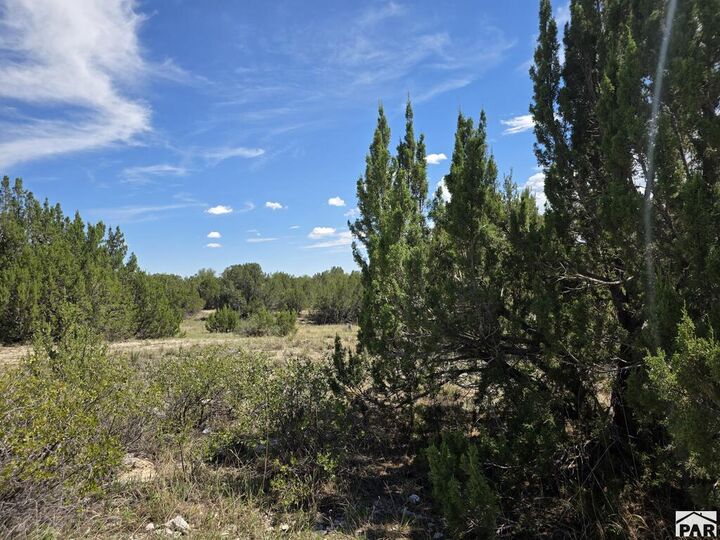 Property Photo: Lot 131 Blue Spruce Dr CO 81019