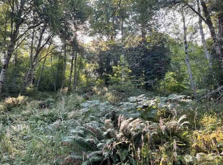 Property Photo: 108 E Beaver Lane WA 98584