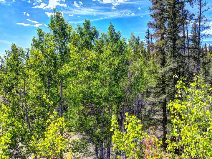 Property Photo: 75 Swiggler Road CO 80456