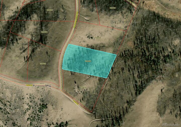 Property Photo: Lot 7726 De Montalambert Road CO 81133