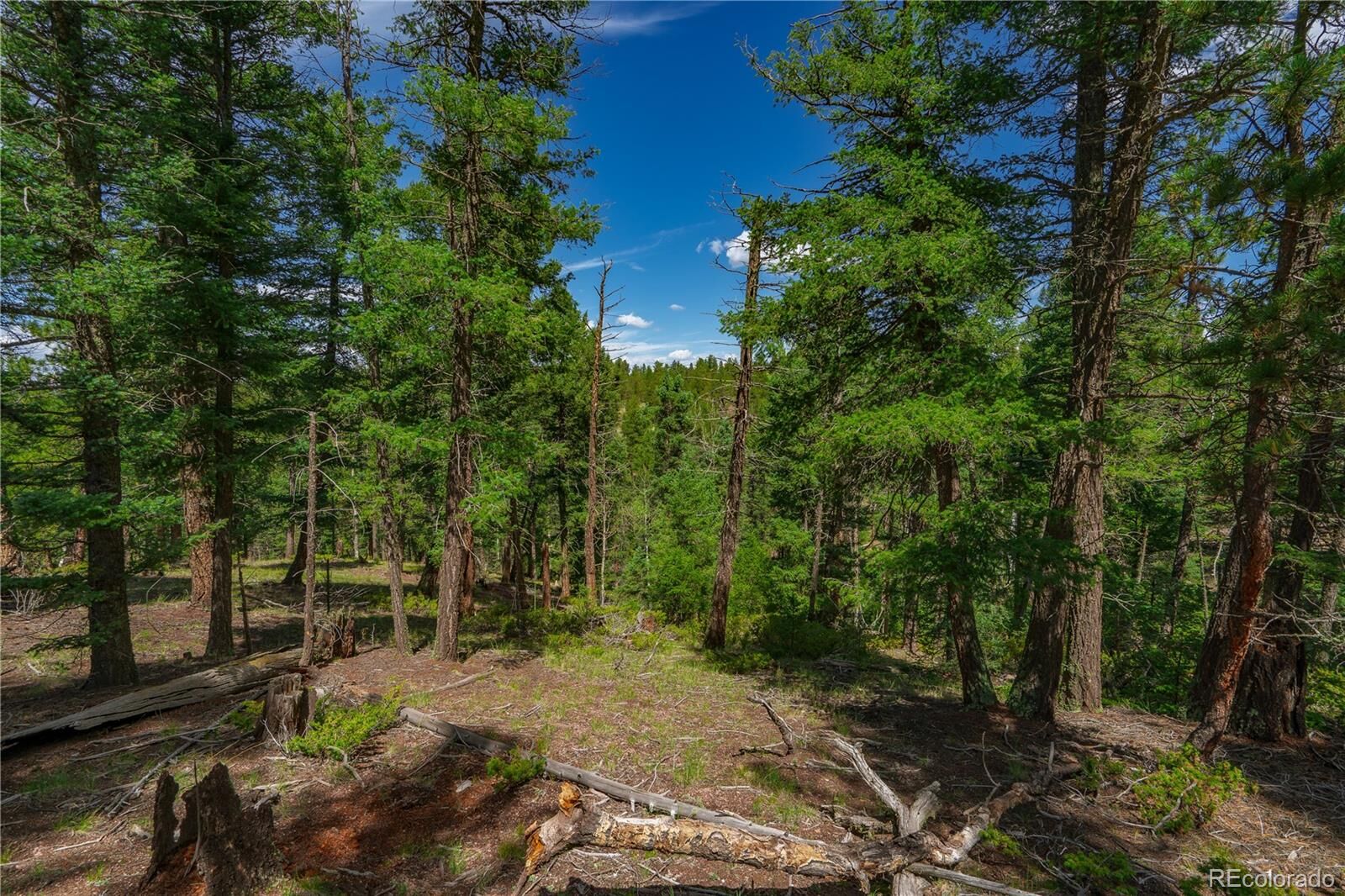 Property Photo: 384 Insmont Lane CO 80816
