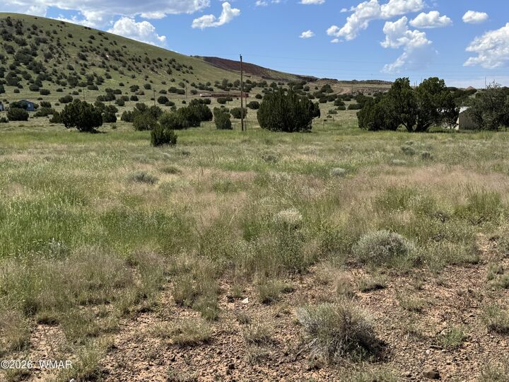 Property Photo:  31 County Road 5203  AZ 85924 