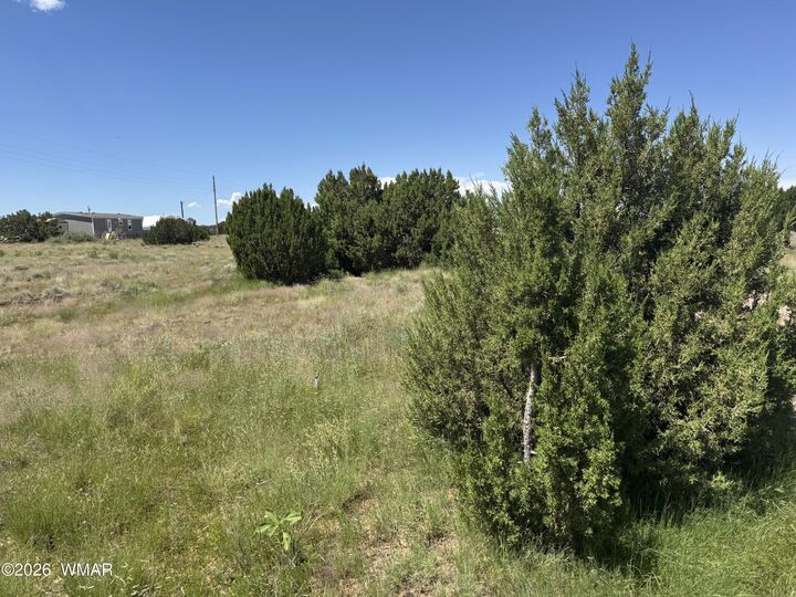 Property Photo:  20 County Road 5203 20  AZ 85924 