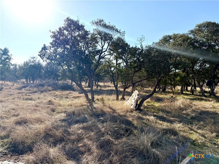 Property Photo:  Tbd County Road 233 Road  TX 78633 