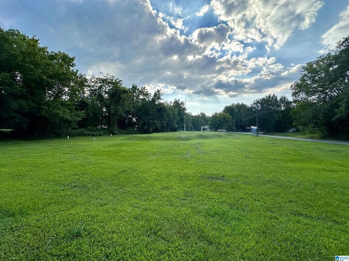 Property Photo: 620 College Street 0 AL 36265