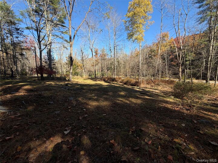 Property Photo:  345 Dug Road  NY 12404 