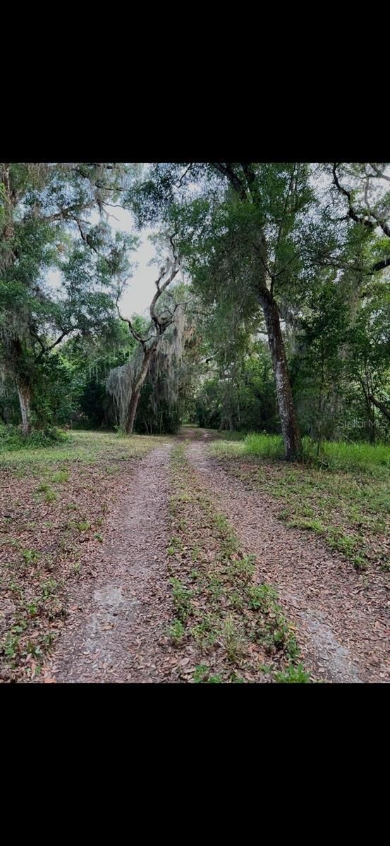 Property Photo:  20231 Painter Place Place  FL 34610 