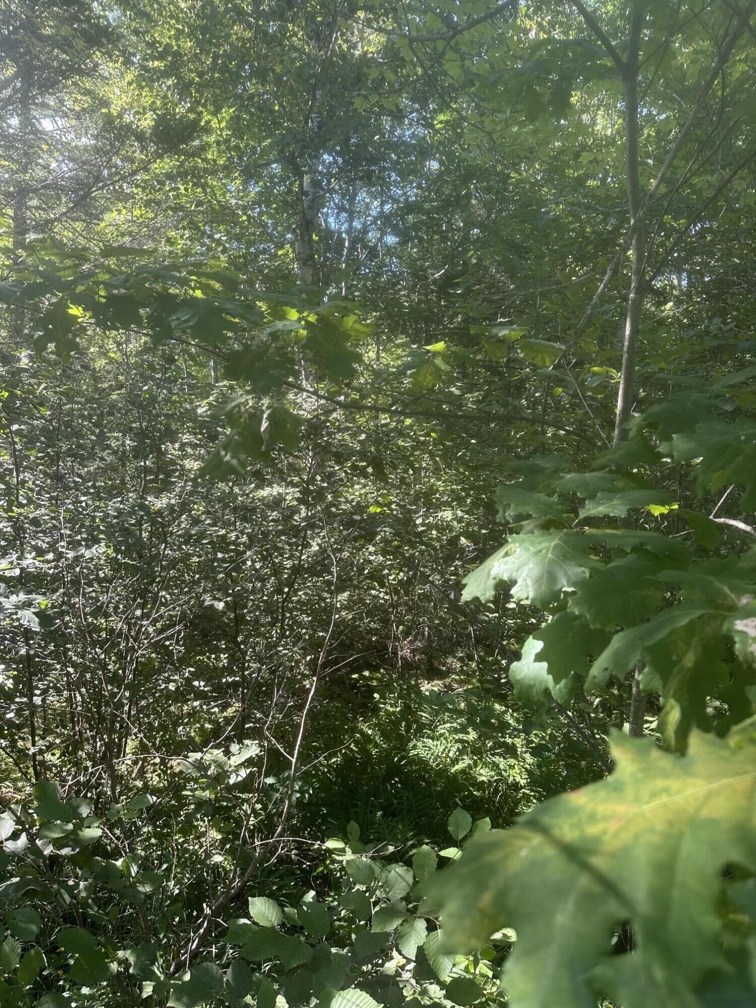 Property Photo: Lot 5 W Side Unionville Road ME 04680