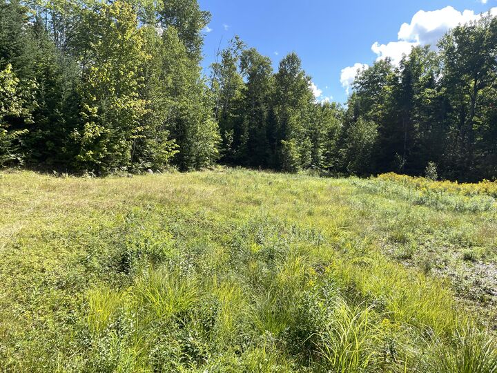 Property Photo: Lot#16M-2 Campbell Rd ME 04660