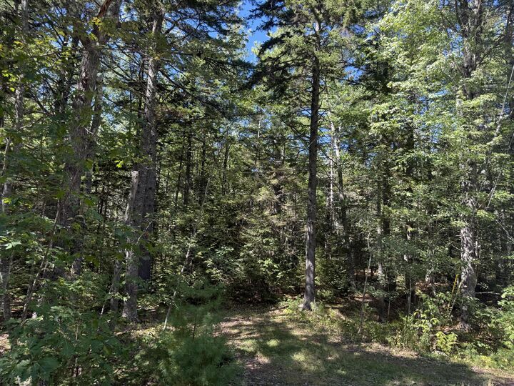 Property Photo:  M-9,L-54C Back Shore Road  ME 04539 