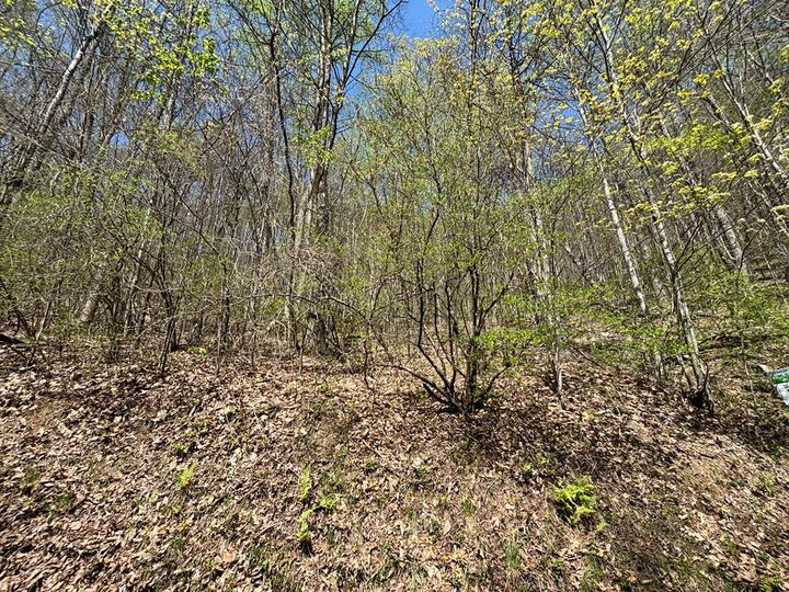 Property Photo:  Lot 4 Outlook Road  NC 28906 