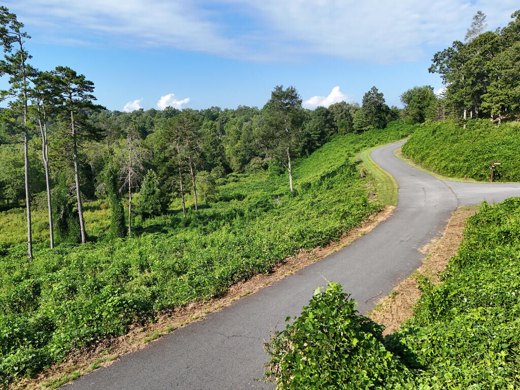 Property Photo:  Lot 30 Arbor Creek Trail  GA 30559 