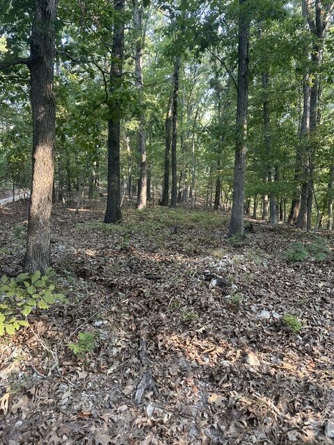 Property Photo: Tbd Windsong Lane AR 72631
