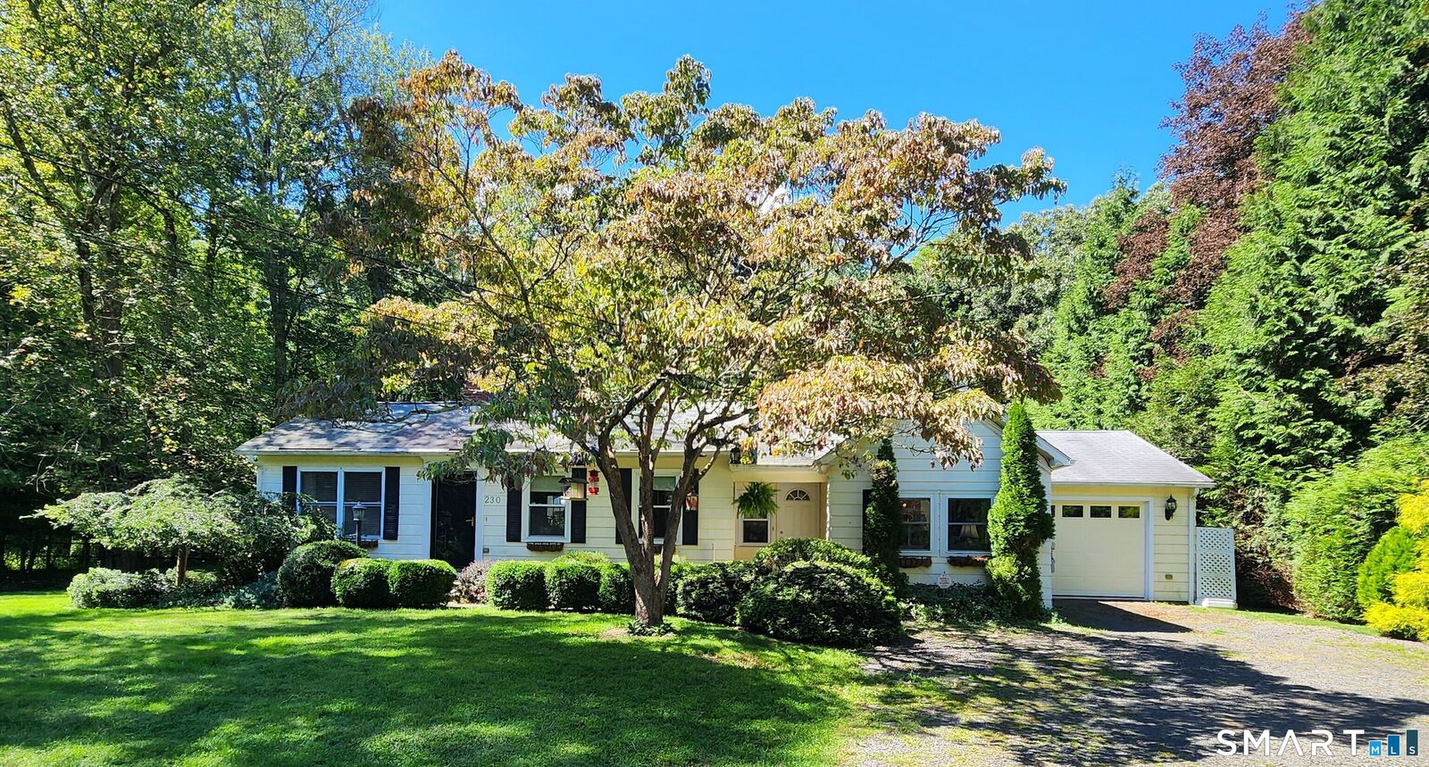 Property Photo:  230 Nut Plains Road  CT 06437 