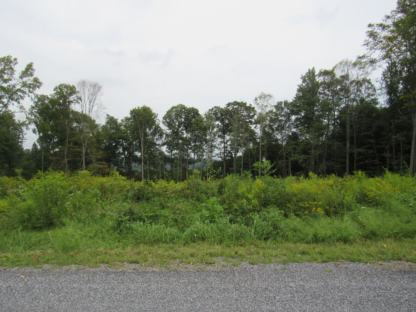 Property Photo: Lots 8 & 9 Sylvan Glen Rd PA 15851