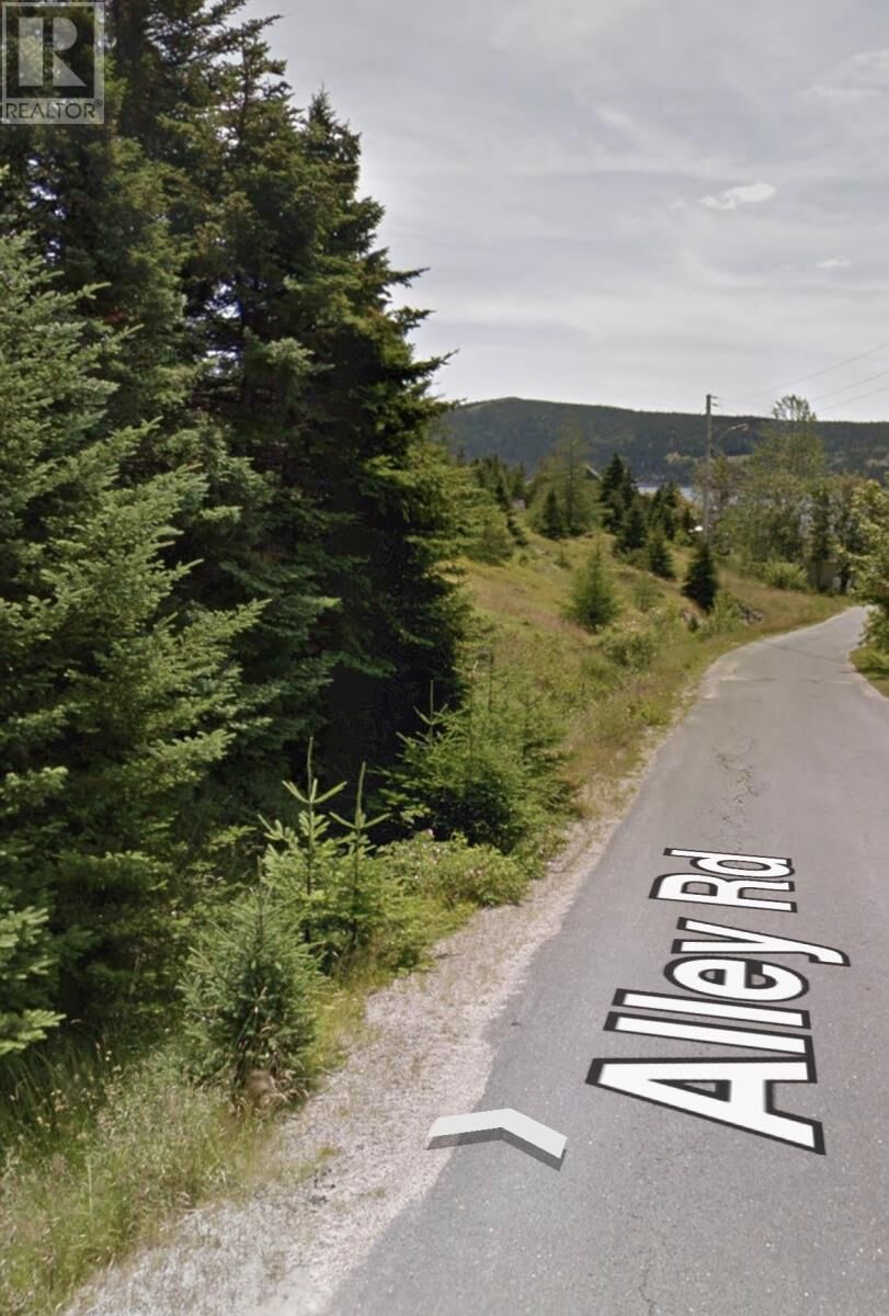 Property Photo:  36-50 Alley Road  NL A0A 1C4 