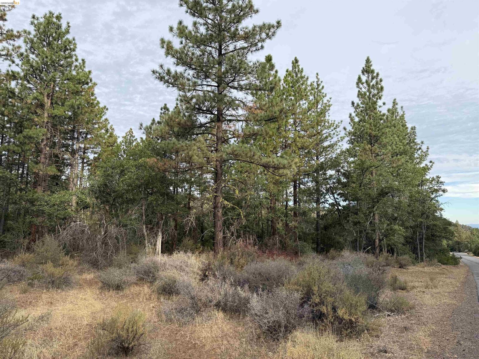 Property Photo: 00000 Little Vallley CA 96056