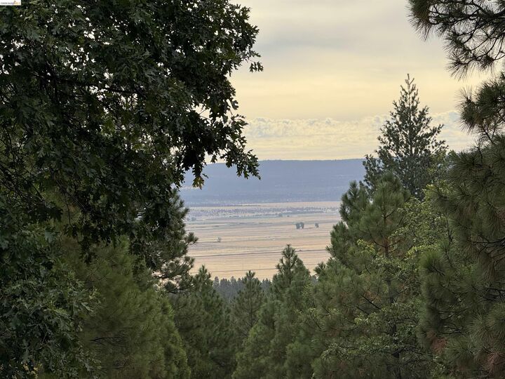 Property Photo:  00000 Old Toll Rd  CA 96068 