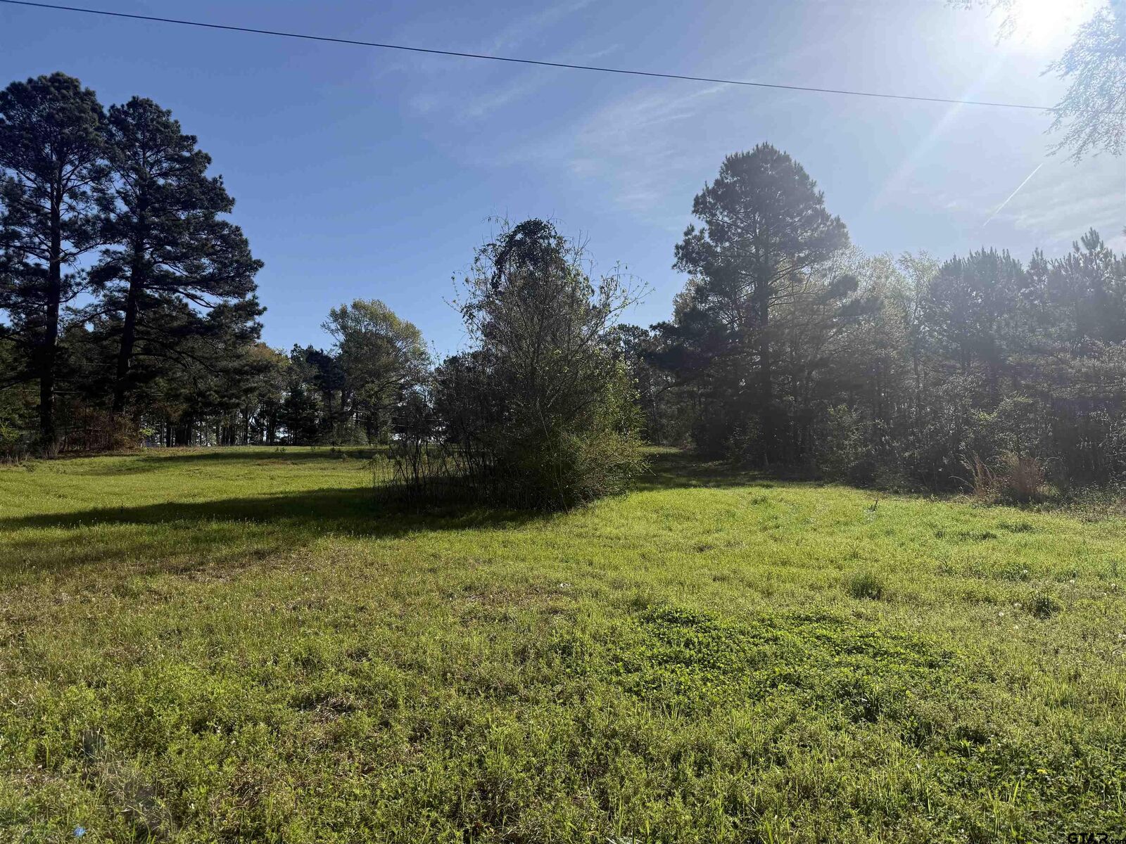 Property Photo: 15830 Shady Creek TX 75705