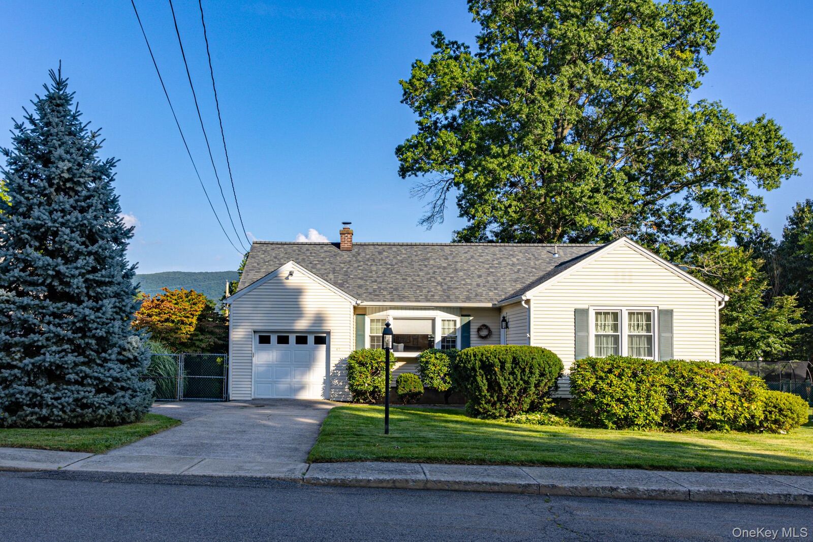 Property Photo:  67 E Willow Street  NY 12508 