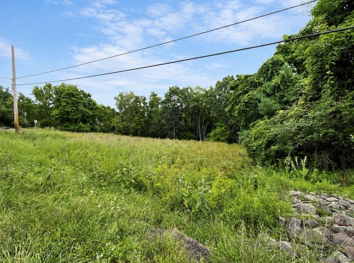Property Photo:  Tbd Queens Highway  NY 12404 