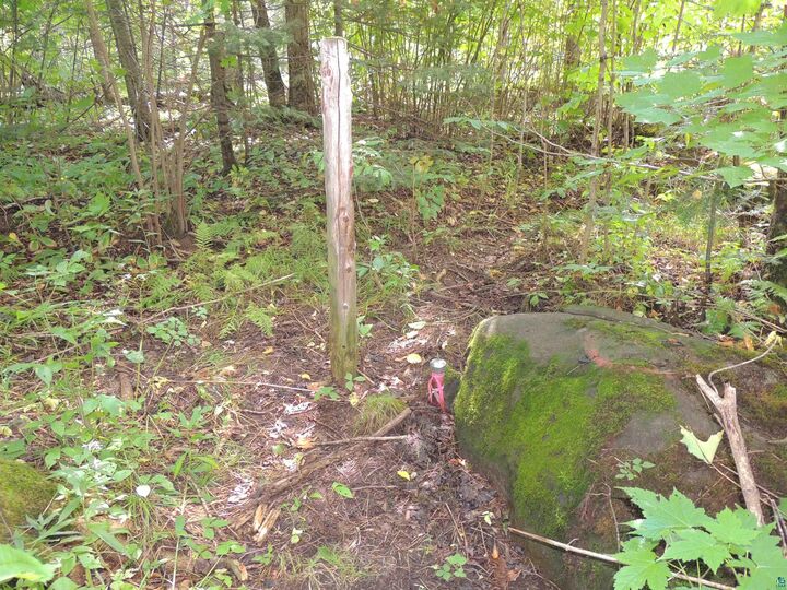 Property Photo:  112X County Rd 60  MN 55604 