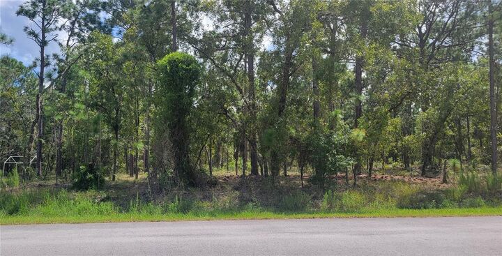 Property Photo: 0 NW Hillsdale Avenue FL 34431