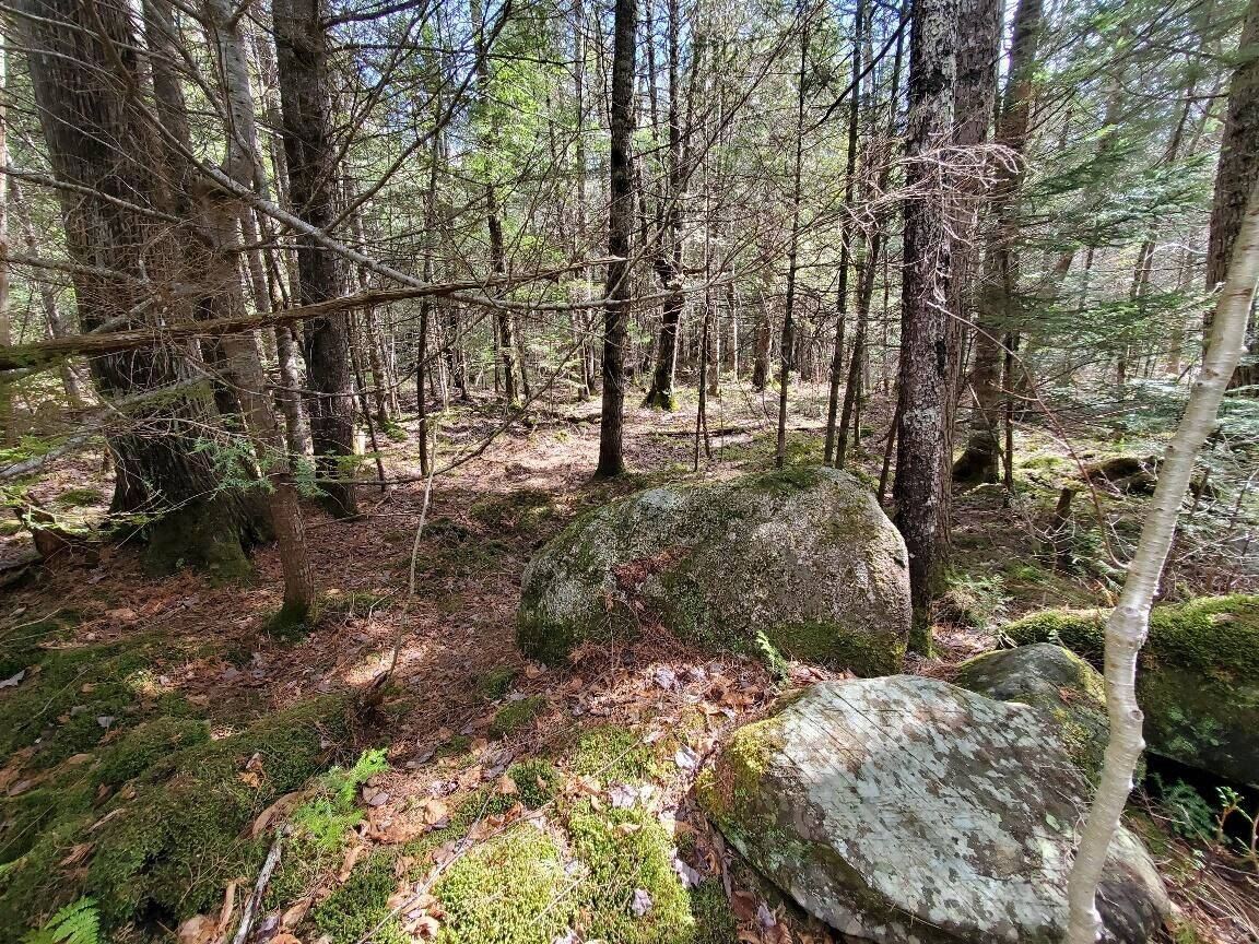 Property Photo: 0 Howland (Rte 155) Road ME 04453