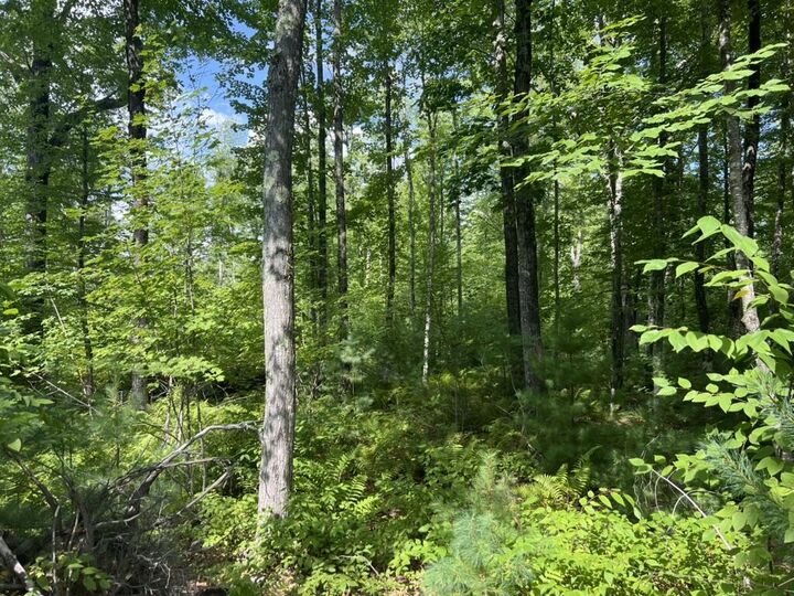 Property Photo:  0 Old County Road  ME 04002 