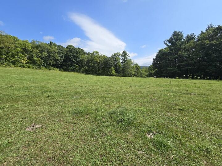 Property Photo: 0 Wildwood Rd PA 18840