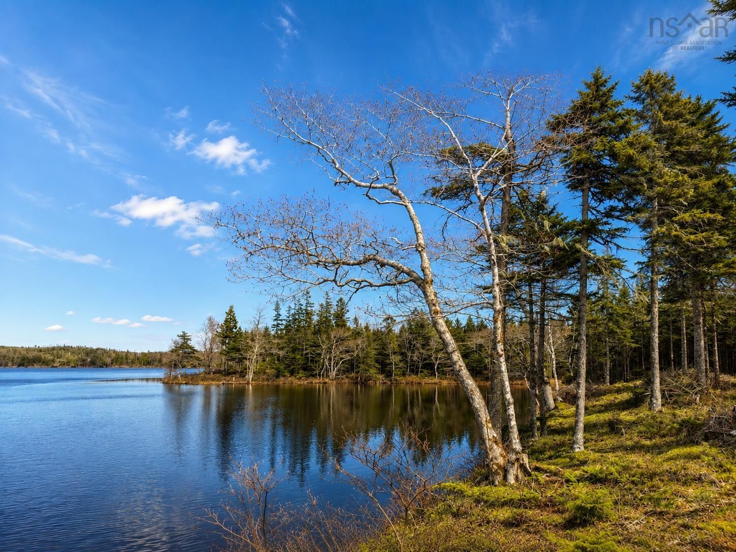 Property Photo:  Lot 4 Highway 4  NS B0E 1V0 