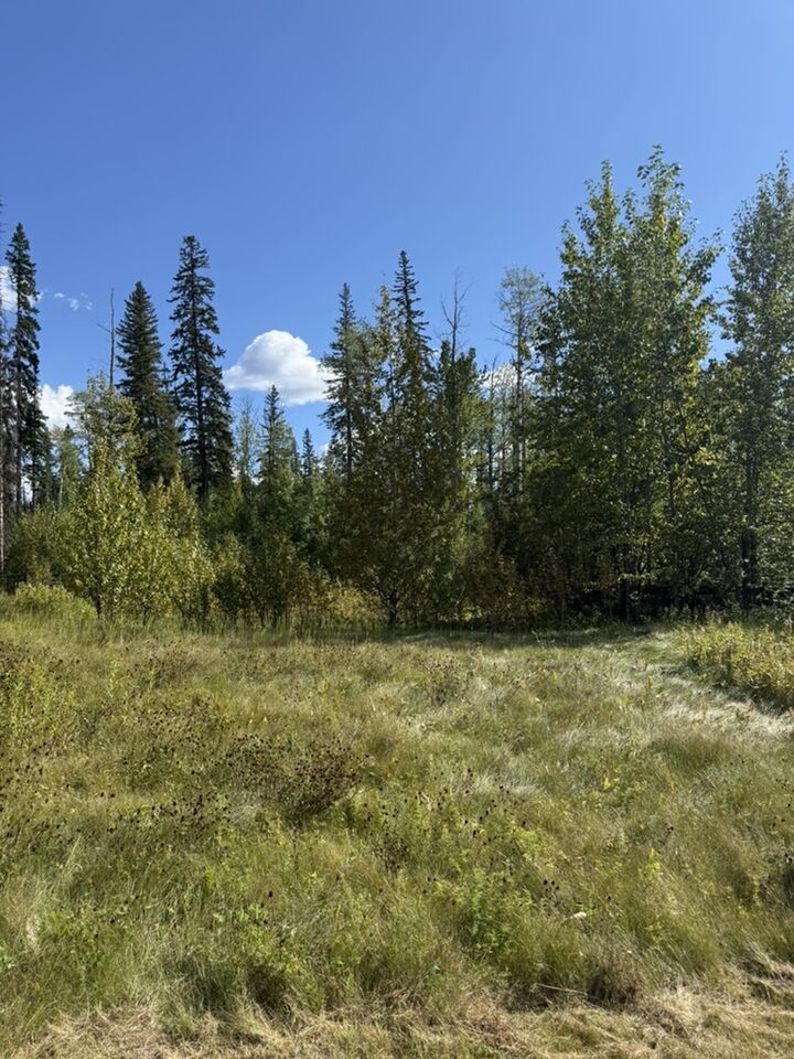 Property Photo:  111 Kinuseo Avenue  BC V0C 2W0 