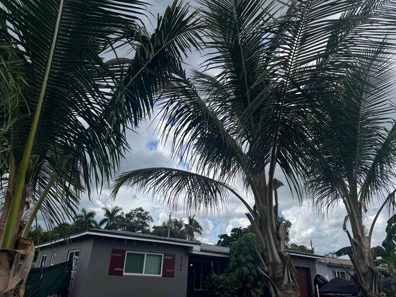Property Photo: 3340 SW 20th Court FL 33312