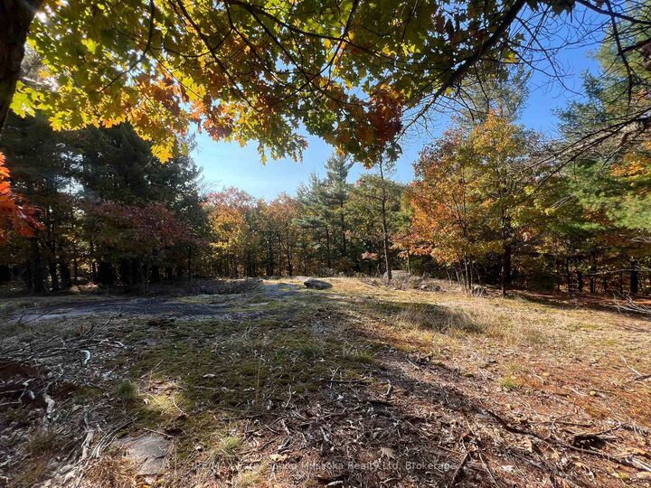 Property Photo:  13 Ridgeway Drive  ON P0G 1G0 