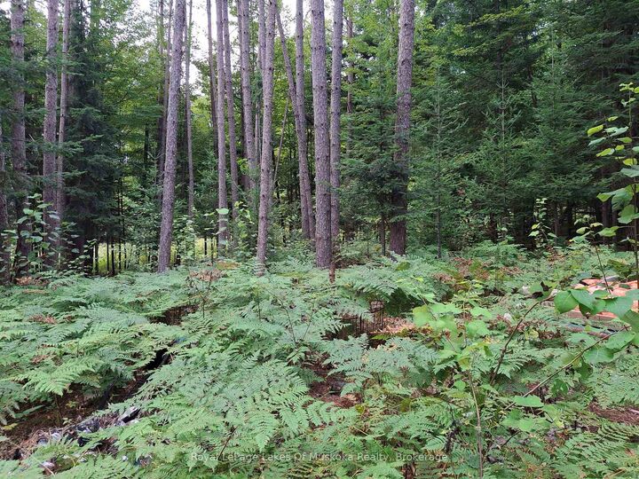 Property Photo:  1318 Old North Road  ON P1H 2J4 